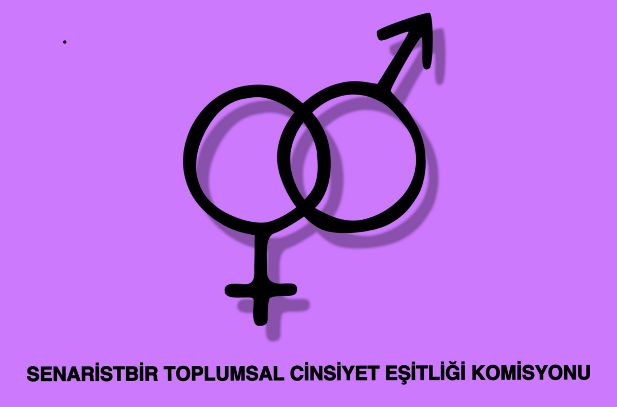 SenaristBir